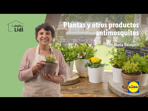 Video: Hipermercados 