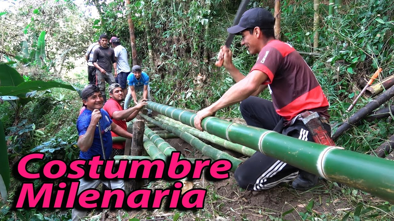 CULEBREROS; Limpieza de caminos en la Sierra de Piura, 4to día de caminata