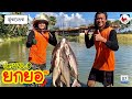 ยกยอ สระเหมา ►Fishing lifestyle Ep.403