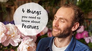 4 things you need to know about peonies