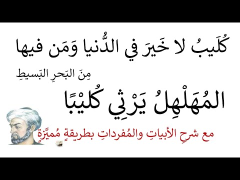 شرح كليب لا خير في الدنيا ومن فيها المفردات والأبيات بطريقة مميزة واضحة