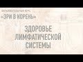 #3 (1) ЛИМФАТИЧЕСКАЯ СИСТЕМА основное (часть 1)