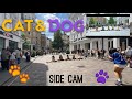 [KPOP IN PUBLIC | SIDECAM] TXT (투모로우바이투게더) 'Cat &amp; Dog' Dance Cover | APOLLO LONDON