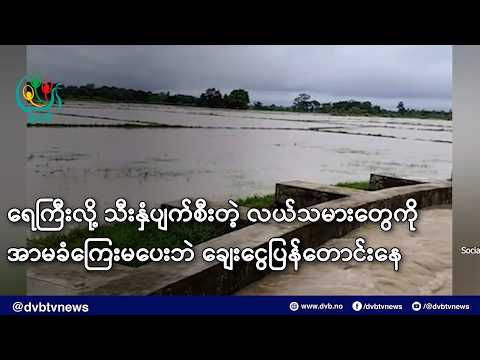 ရေကြီးလို့ သီးနှံပျက်စီးတဲ့ လယ်သမားတွေကို အာမခံကြေးမပေးဘဲ ချေးငွေပြန်တောင်းနေ- DVB News
