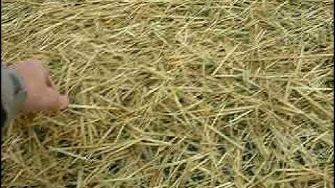 Inspecting Erosion Control Blanket Installation in 30 Seconds or Less, Part 2