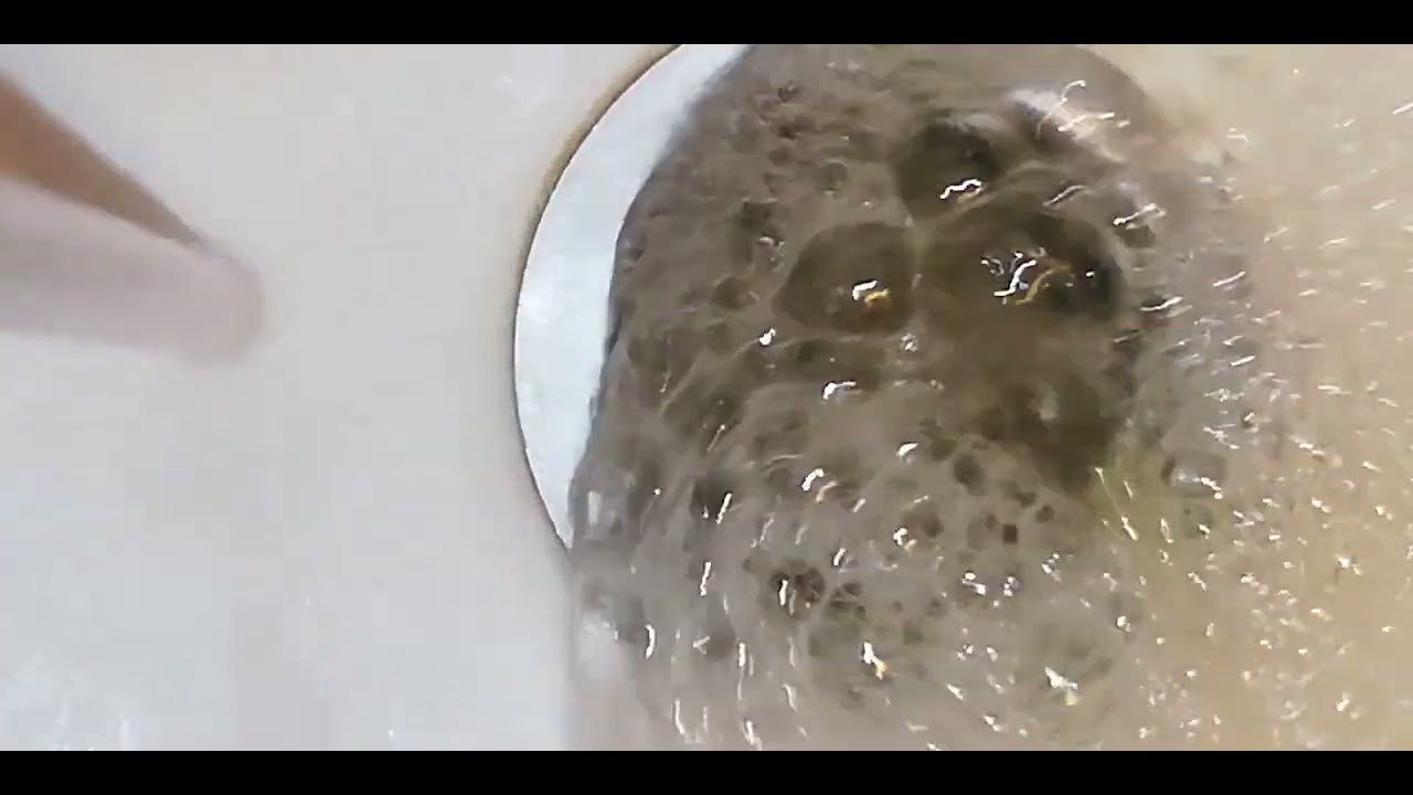 Streamsoftime - Expert-Googleologist opinion: Google files to appeal search monopoly case