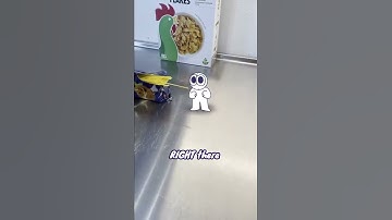 Rabbert verpest alles in de keuken