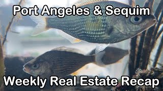 Port Angeles & Sequim | Real Estate Market Recap | 05/13/24  05/17/24