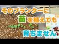 【豪華3本立て】モリモリ育つ！種まきと植え付け！夏ガーデニングを快適にする方法！