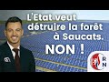L’État veut raser 1000 hectares de forêt pour un parc photovoltaïque. Pour le RN c'est non !