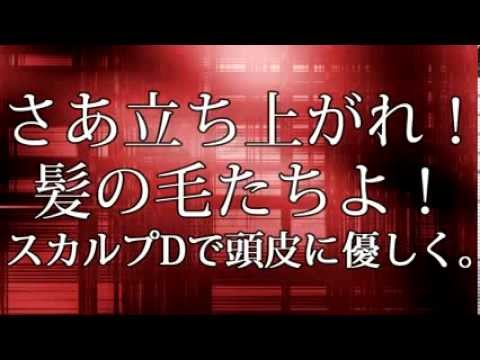 スカルプD　2