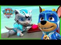 Mighty Pups And Cat Pack Stop A Rocket PAW Patrol Cartoons For Kids Compilation mp3