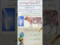       مسواک کے فائدے قرآن اور سائنس     