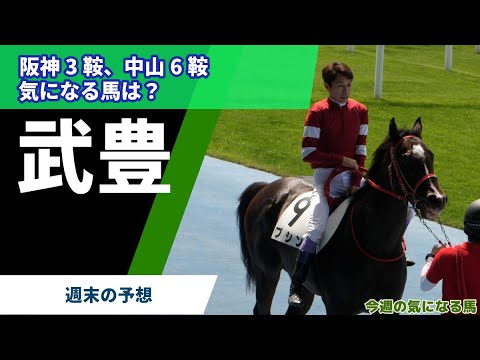 【武豊】週末出走馬の検証 阪神3鞍（チューリップ賞）中山6鞍で気になる馬は？