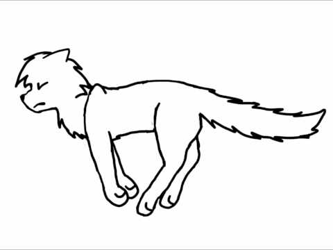 Cat run cycle ~ Tutorial