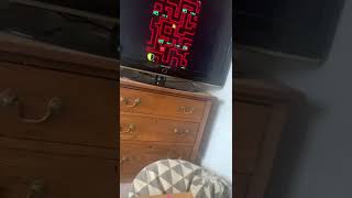 Tomb of the Mask Level 548