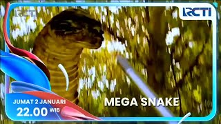 Box Office Rcti Mega Snake Jumat 2 Januari 2026