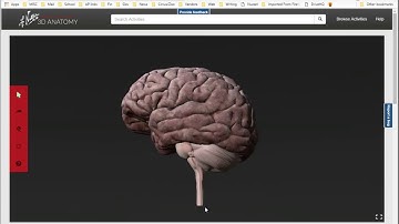 Getting into Netters 3D Anatomy