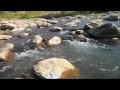 Bosque de la Primavera - Rio Caliente