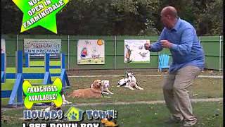 HOUNDS TOWN USA_30 SEC Commercial.wmv