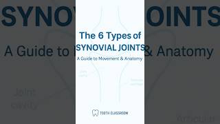 Types of Synovial Joints| Classification and Movement
