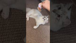 Do You Want To Join?