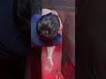 【可視化する施術】脚のキワまで解放感。深層筋に届く本格アプローチ ー 世界一のセラピストの手技 #世界一のセラピスト #オイルマッサージ