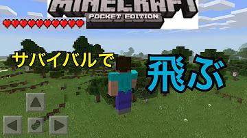 さばいばるで飛ぶ