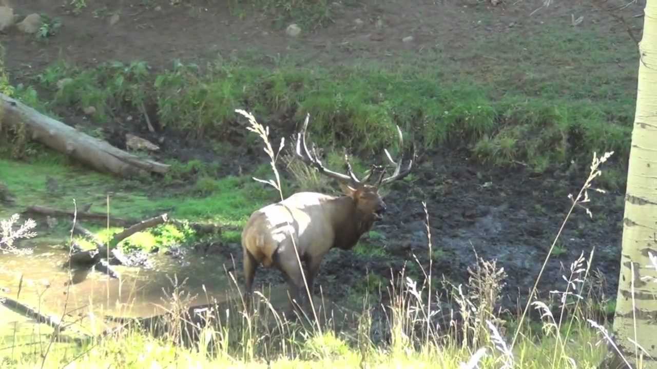 J&J Outfitters Utah - Remember The Name - YouTube