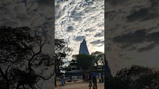 🙏திருச்செந்தூர் செந்திலாண்டவர் திருக்கோவில்🙏 #thiruchendur #murugan #shorts #god #muruga #shortsfeed