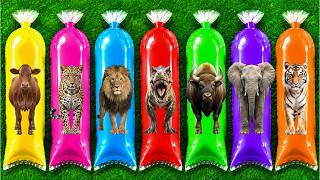 MENEMUKAN : Hewan  Sapi, Gajah, Macan Tutul, Jerapah, Zebra, Badak, Beruang, Kucing, Bebek, T-rex