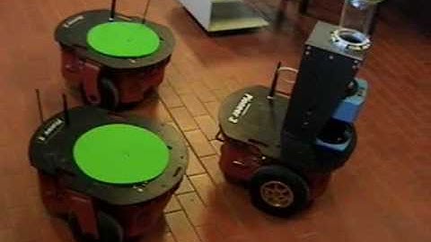 Formation Control with omnidirectional vision