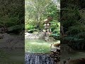Nature Unwinding Kakolab2024 Shorts Nature Falls Travel Nature Unwinding Kakolab2024 Shorts Nature Falls Travel