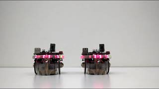 Robot to Robot Bluetooth Communication using e-pucks [2]