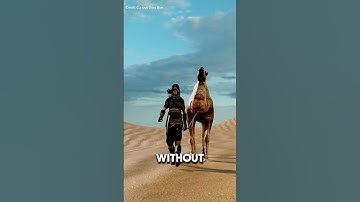 Why Do Dead Camels Burst?