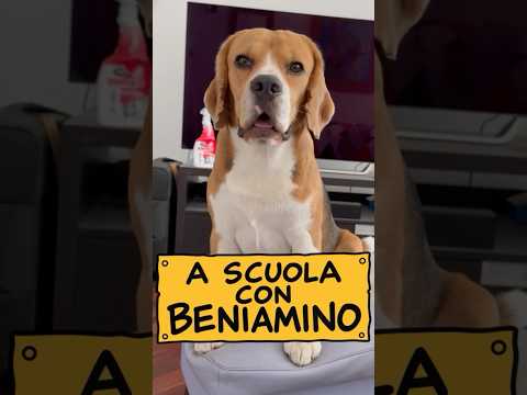 A scuola con Beniamino: la tabellina del 7