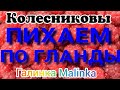 Колесниковы /Пихает по самые гланды /Обзор Влогов /