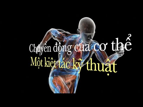 Sinh cơ học: Chuyển động của cơ thể - Một kiệt tác kỹ thuật - youtube
