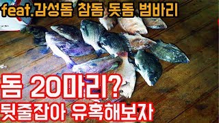 서신바다좌대 계속들어오는 입질! 고패질과 라인잡아 감성돔 참돔 돗돔 범바리 유혹해보자!!