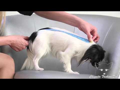 Видео: Какви са размерите на дрехите за кучета