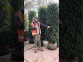 Hedging Advice 🌳