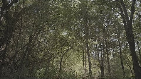 elixir - close your eyes (official music video)