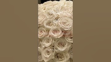 #القرآن #المصحف #القرآن_الكريم #اكسبلور #لايك #القرأن #دويتو #القرأن_الكريم #علاء_عقل #تلاوة_خاشعة