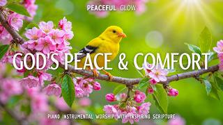 Gods Peace Of Comfort Deep Prayer Instrumental  With Bible Verses U0026 Spring Cherry Blossom 