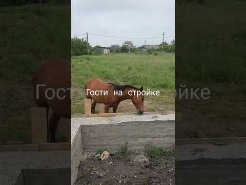 #стройка #анапа #природа
