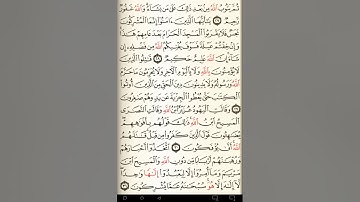 ماهر المعيقلي سورة التوبة مكتوبة صفحة 191 مصحف المدينة المنورة جودة عالية