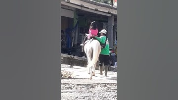 Naik Kuda Tunggang | Kuda Ciater Subang