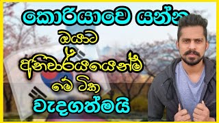 රැකියාවකට කොහොමද කොරියාවට යන්නෙ | How to go to Korea for a job? | lasa vlog from korea | E9 visa