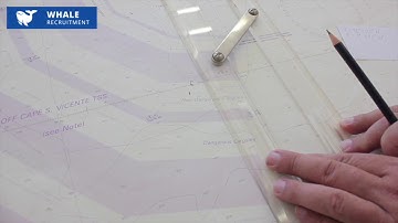 How to plot the Position?