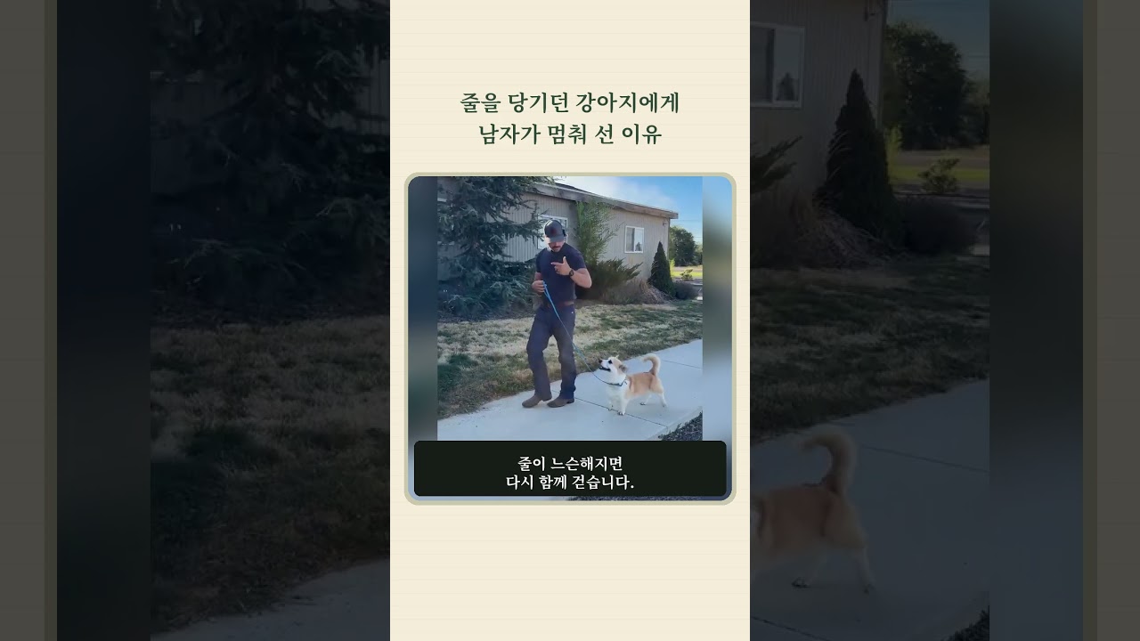 줄을 당기던 강아지에게 남자가 멈춰 선 이유